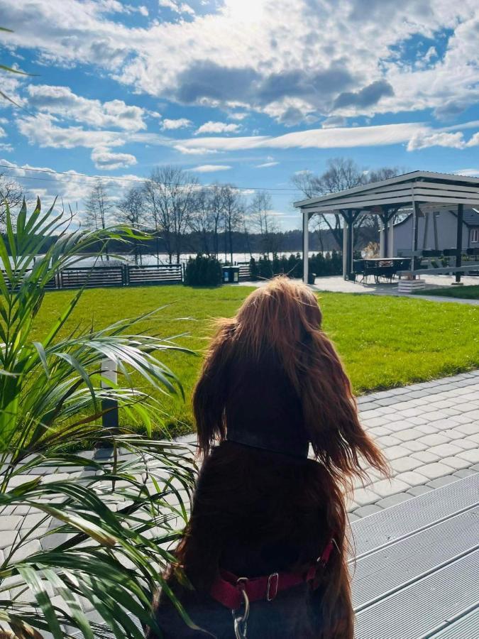 Appartamento Ekosfera Pilawa Borne Sulinowo Esterno foto